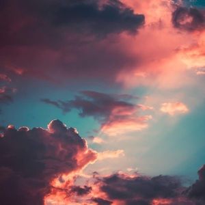 Meet your Posher, Kira